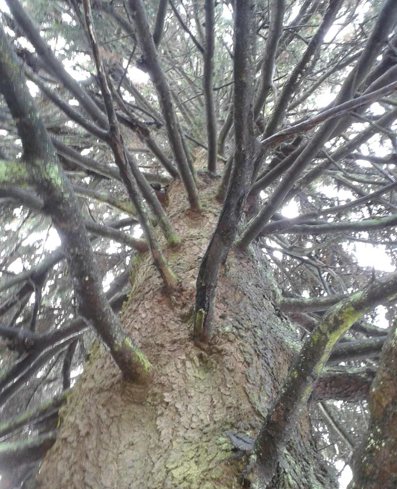 Natur Detektive Im Geopark Wald Wiese Wasser Projektideen Grundschule Schule Ferienspiele